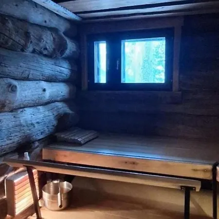 Pukelo Arctic With Wifi Sauna 4 Poster Bed Fireplace 度假居